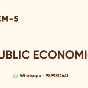 Public Economics